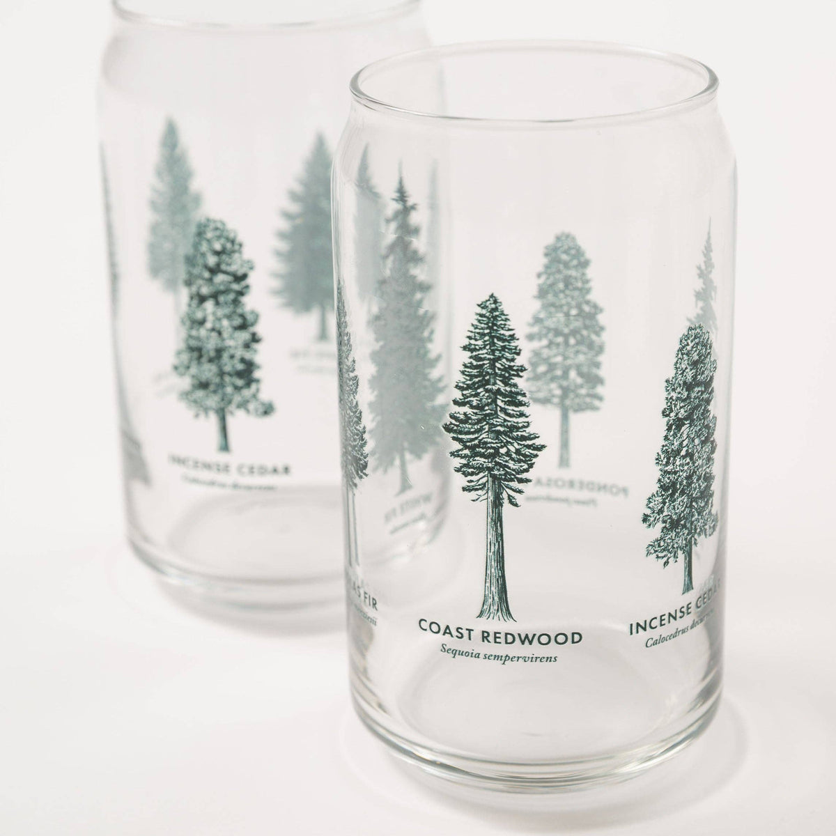 California Forests Beer Can Glass