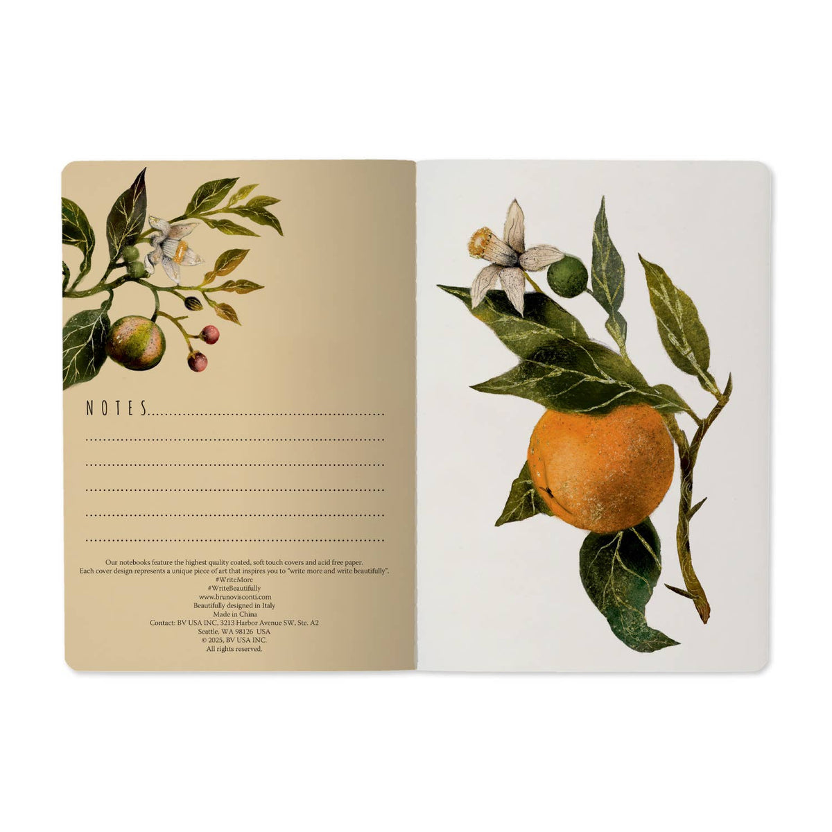 A5 Notebook - Oranges and Blossoms