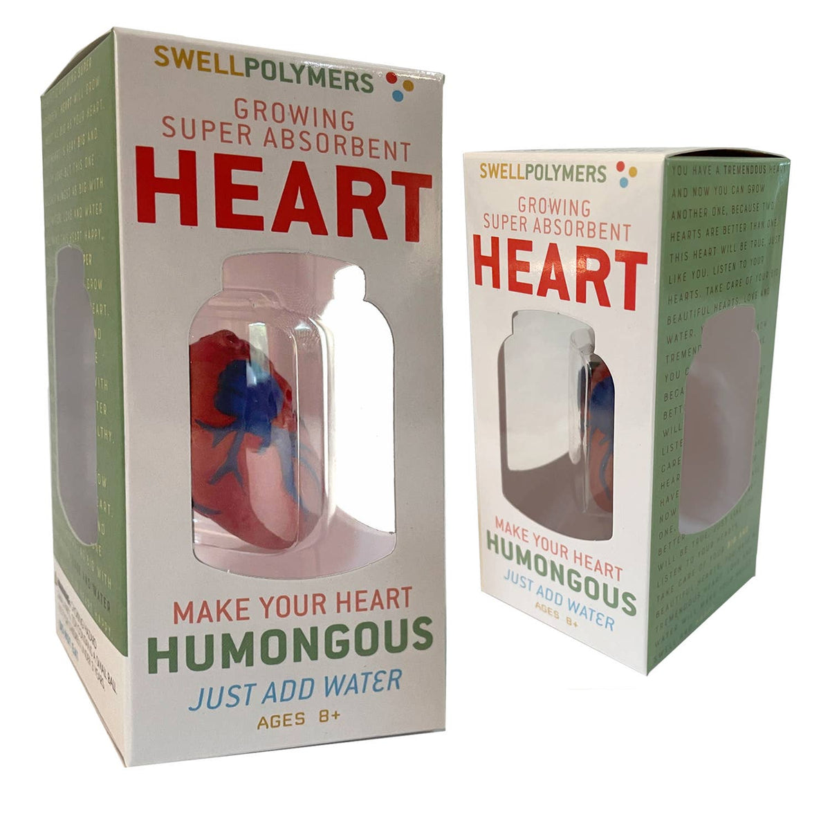 Grow a Heart |
Anatomy Model Polymer Heart Science Kit