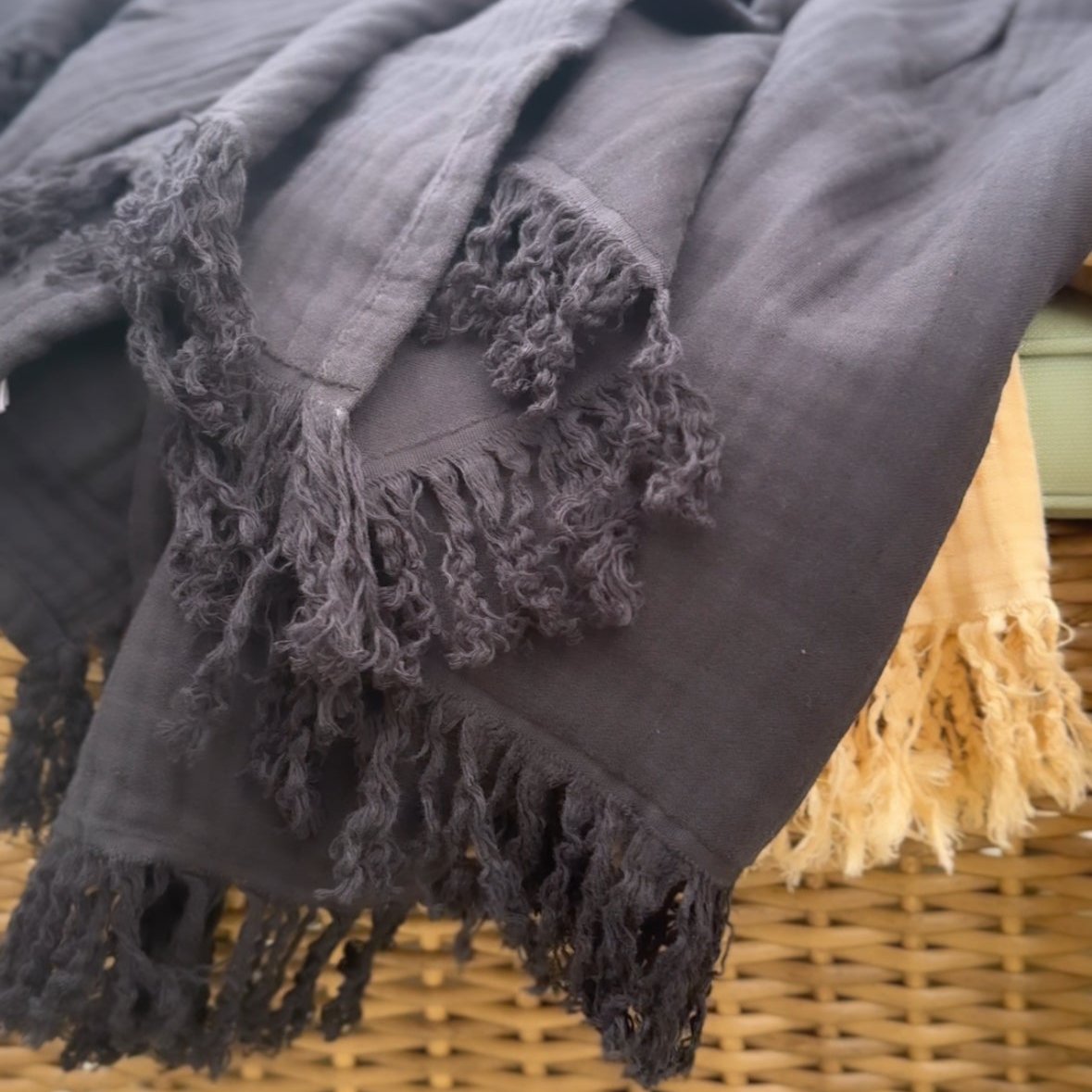 Classic Christmas Oversized Fringe Breeze Throw (Goodbye Colors)