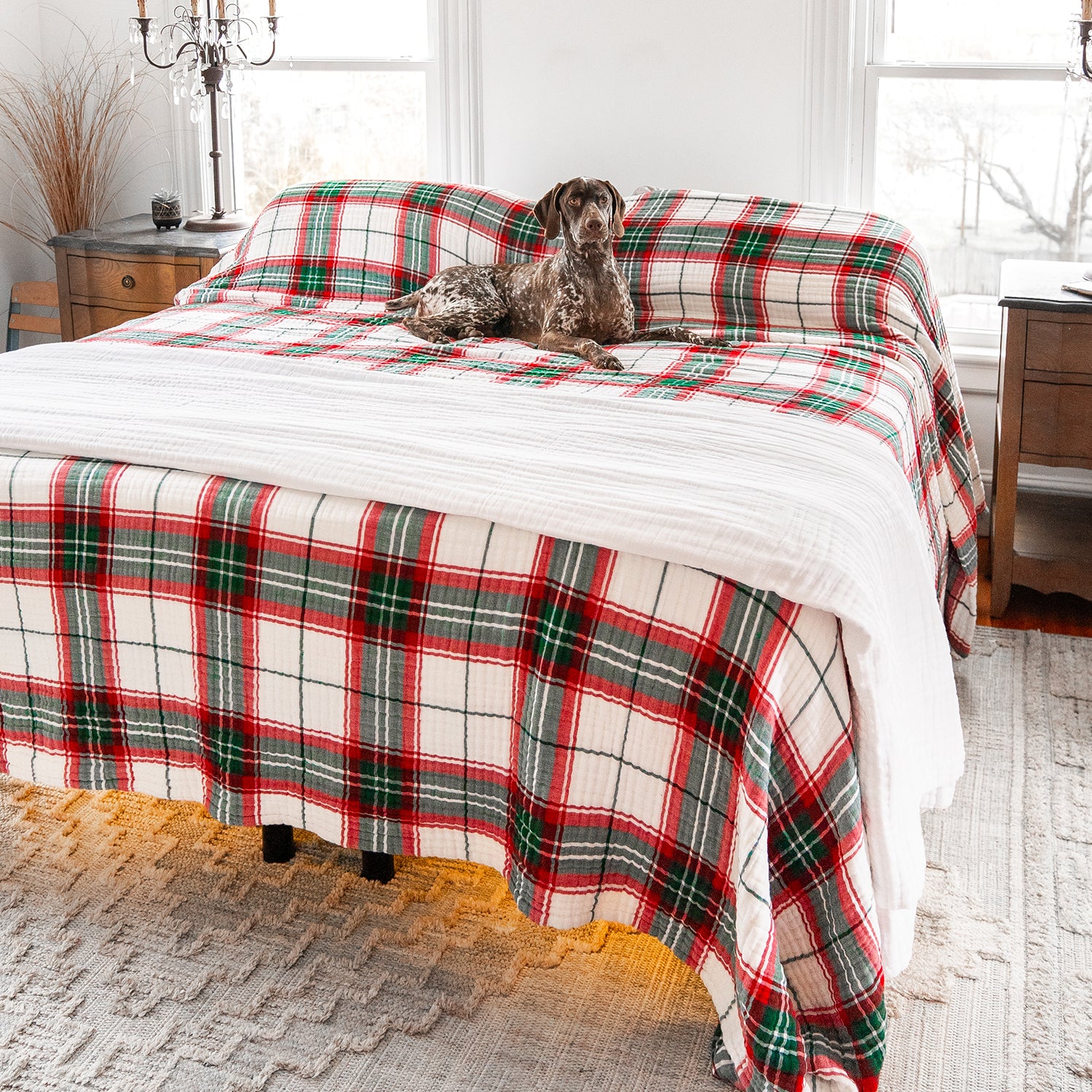 Muslin Cotton 365 Blanket™ In Holiday Plaid