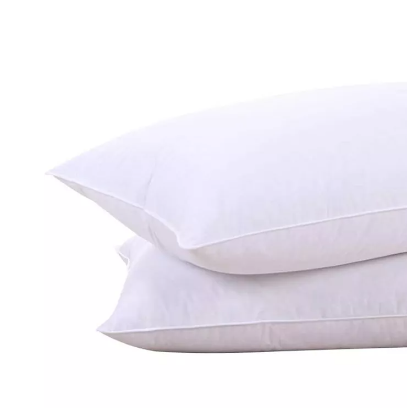 Pillow Inserts