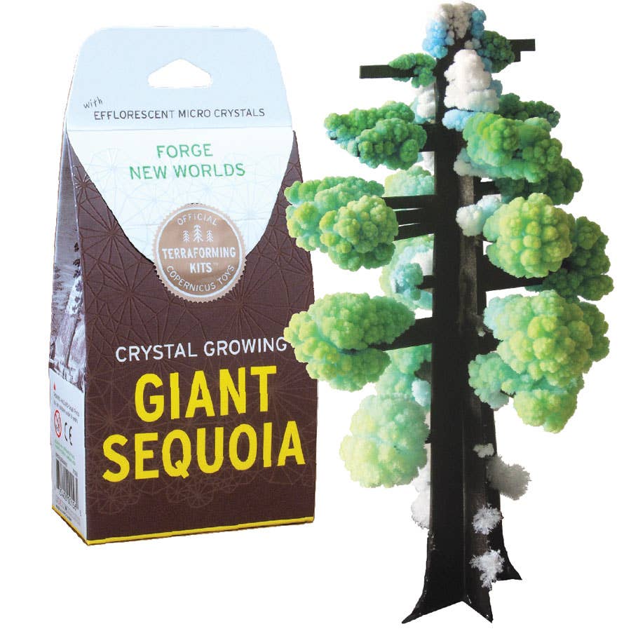 Crystal Growing Giant Sequoia |
Craft Kit Science Kit