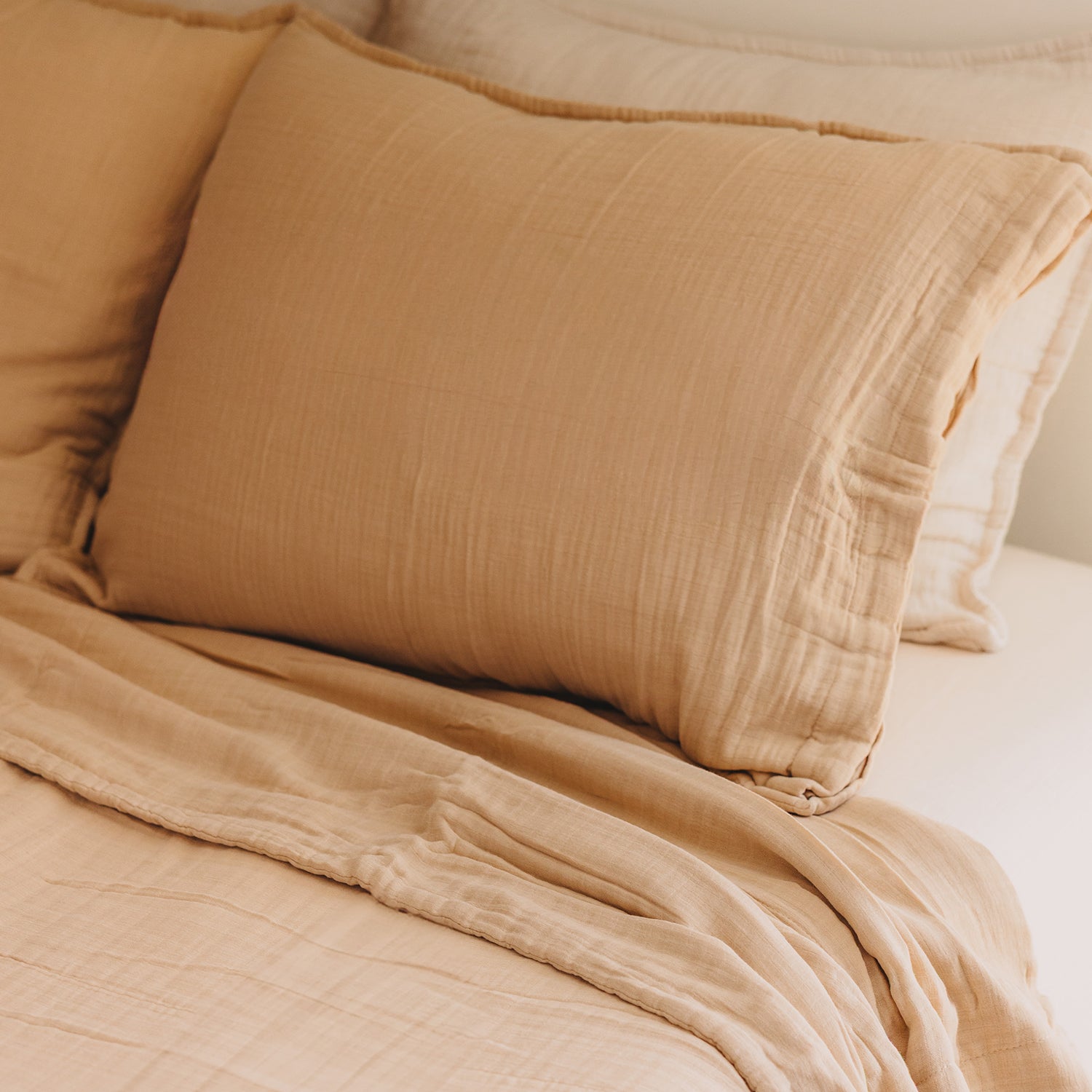 Standard 365 Muslin Cotton Pillow Shams (Set of 2) In Sand
