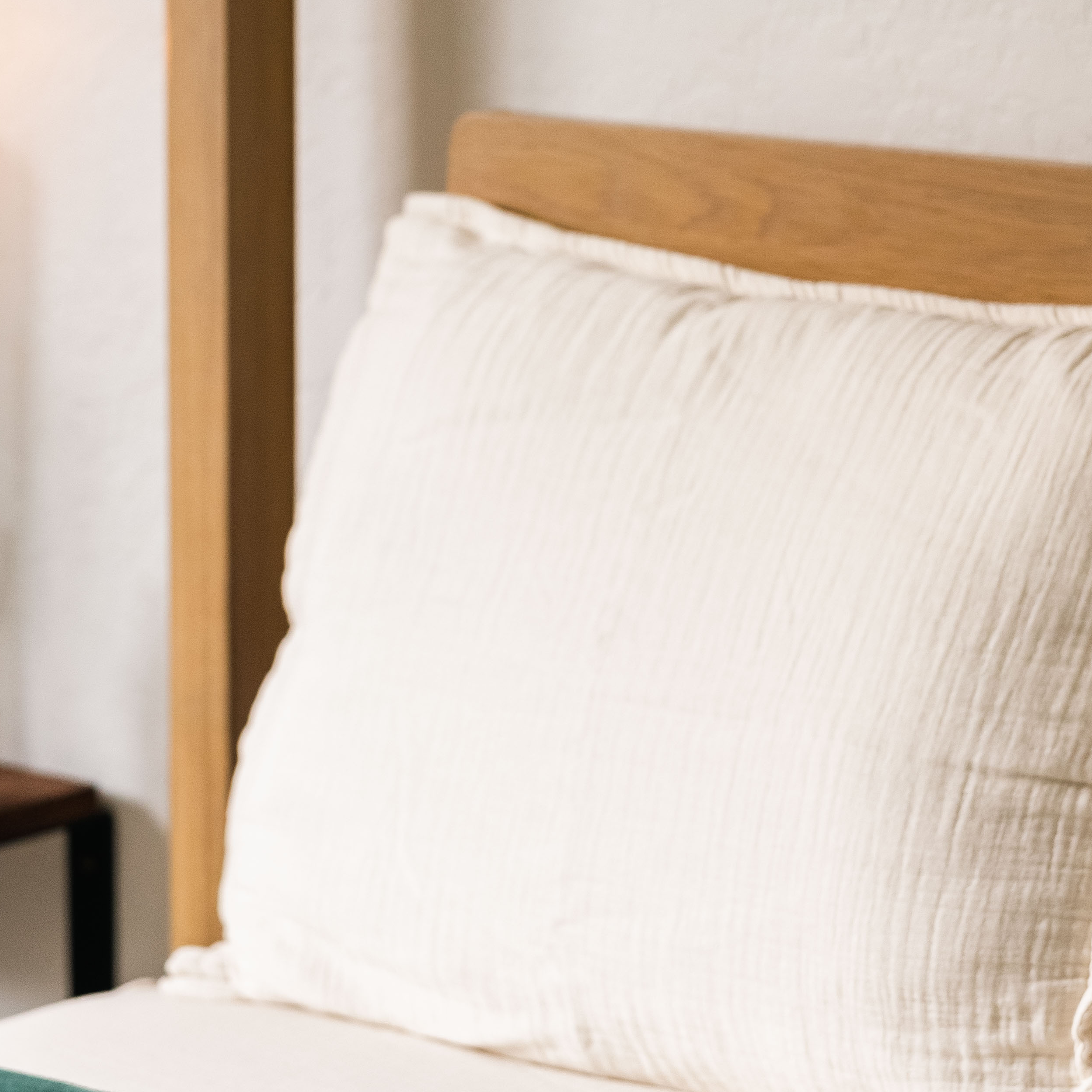 Euro 365 Muslin Cotton Pillow Shams (Set of 2)