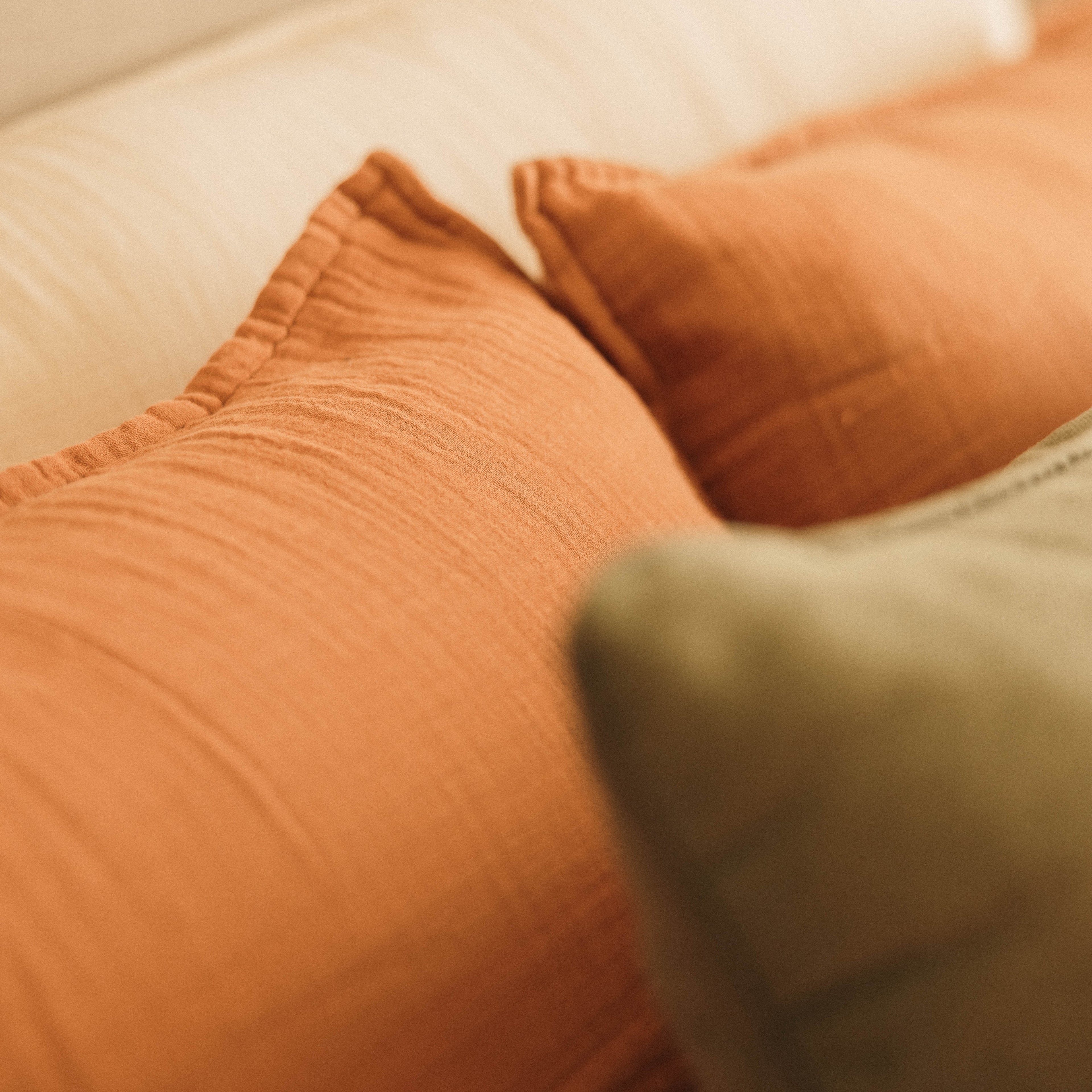 Goodbye Standard Muslin Cotton Pillow Shams (Set of 2)