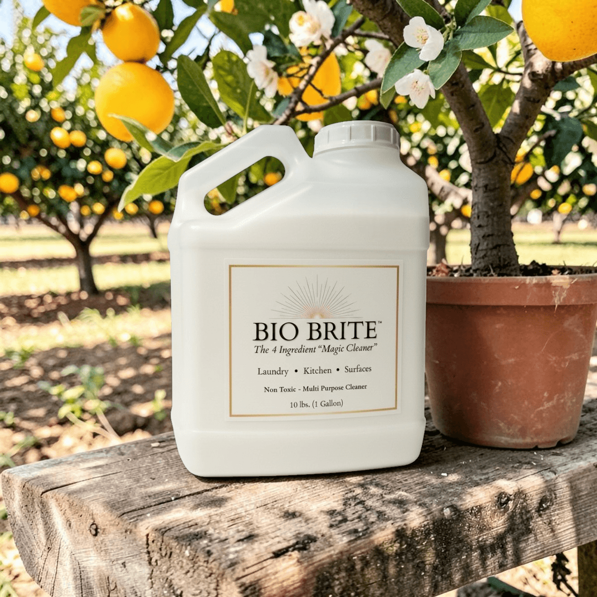 Bio Brite