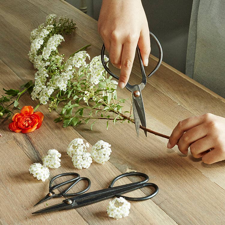 Scissor Set For Garden