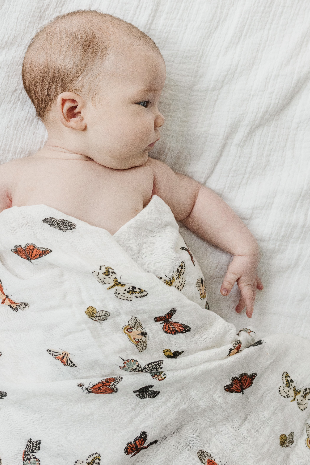 Butterfly Collector Crib Bottom Sheet