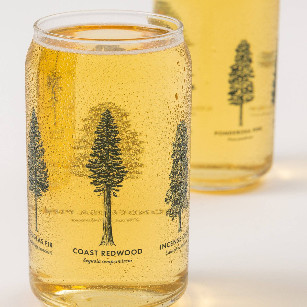 California Forests Beer Can Glass