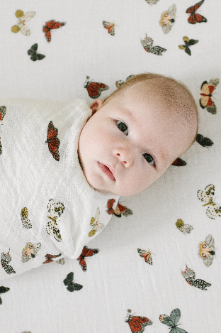 Butterfly Collector Crib Bottom Sheet