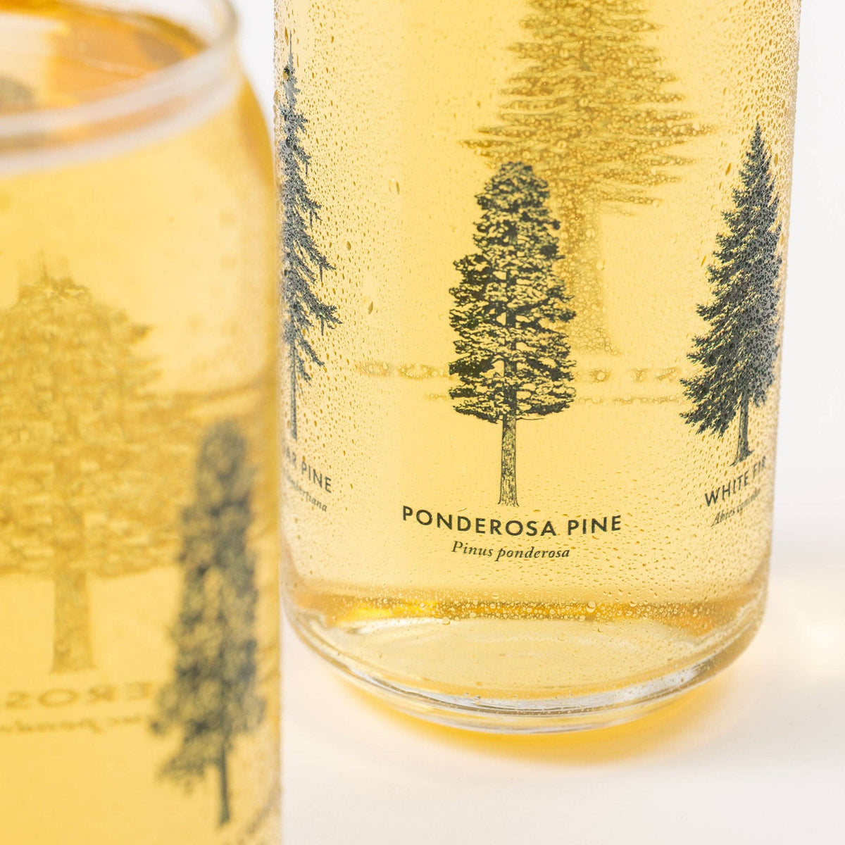 California Forests Beer Can Glass