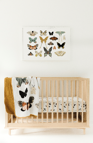 Butterfly Collector Throw