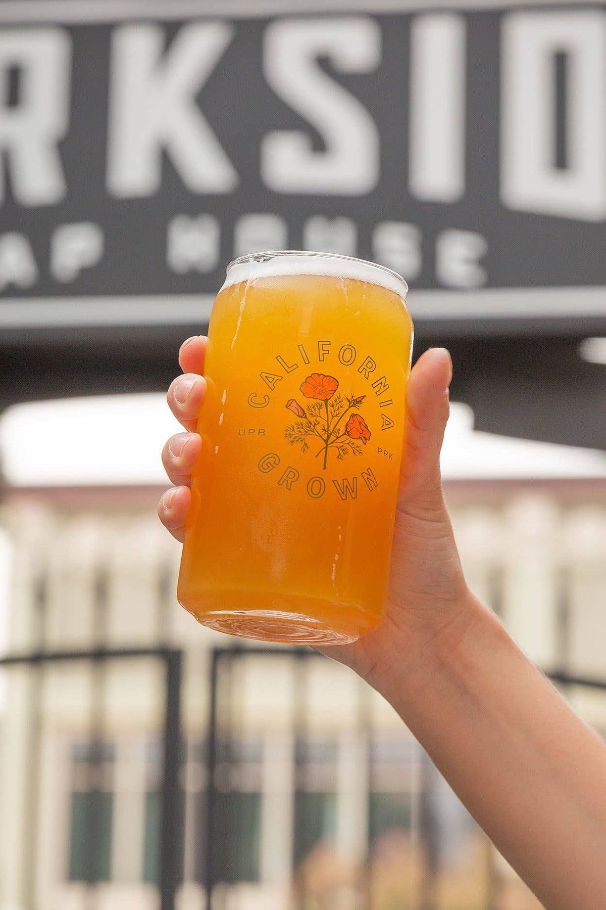 California Grown 16oz Beer Can Glass Cup