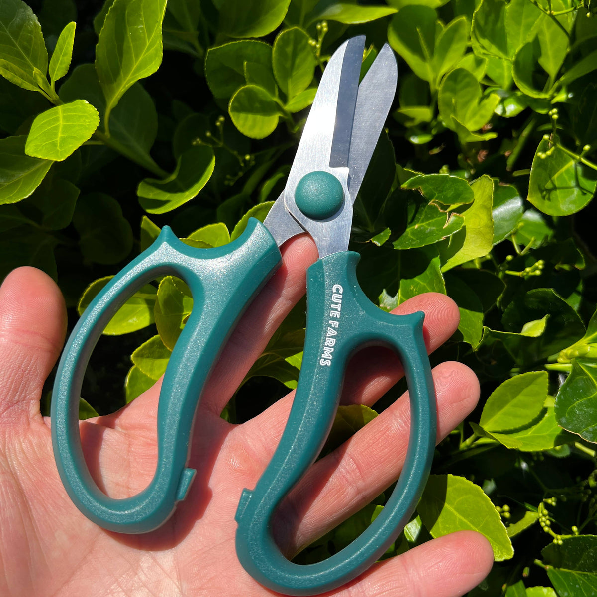 Floral &amp; Garden Scissors