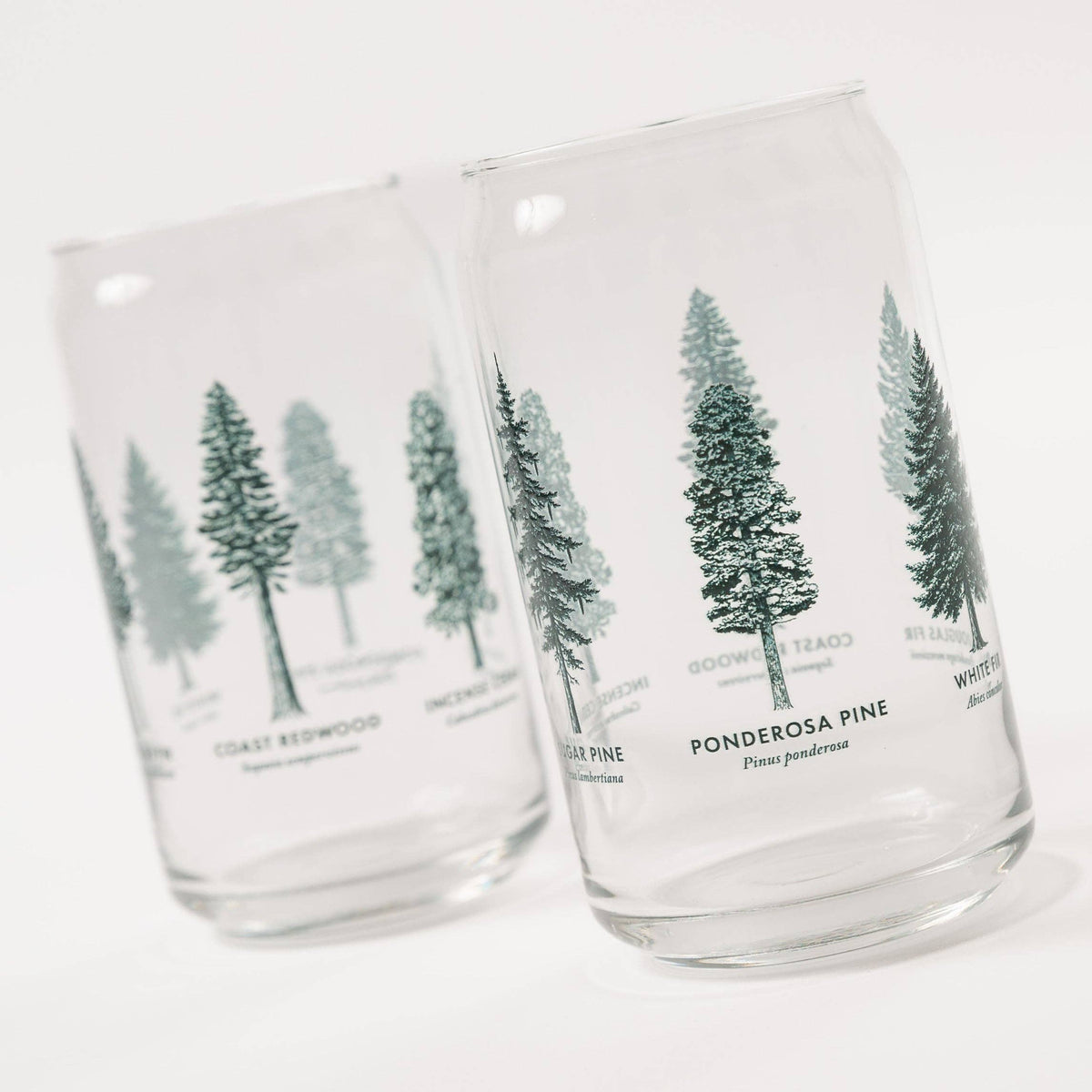 California Forests Beer Can Glass