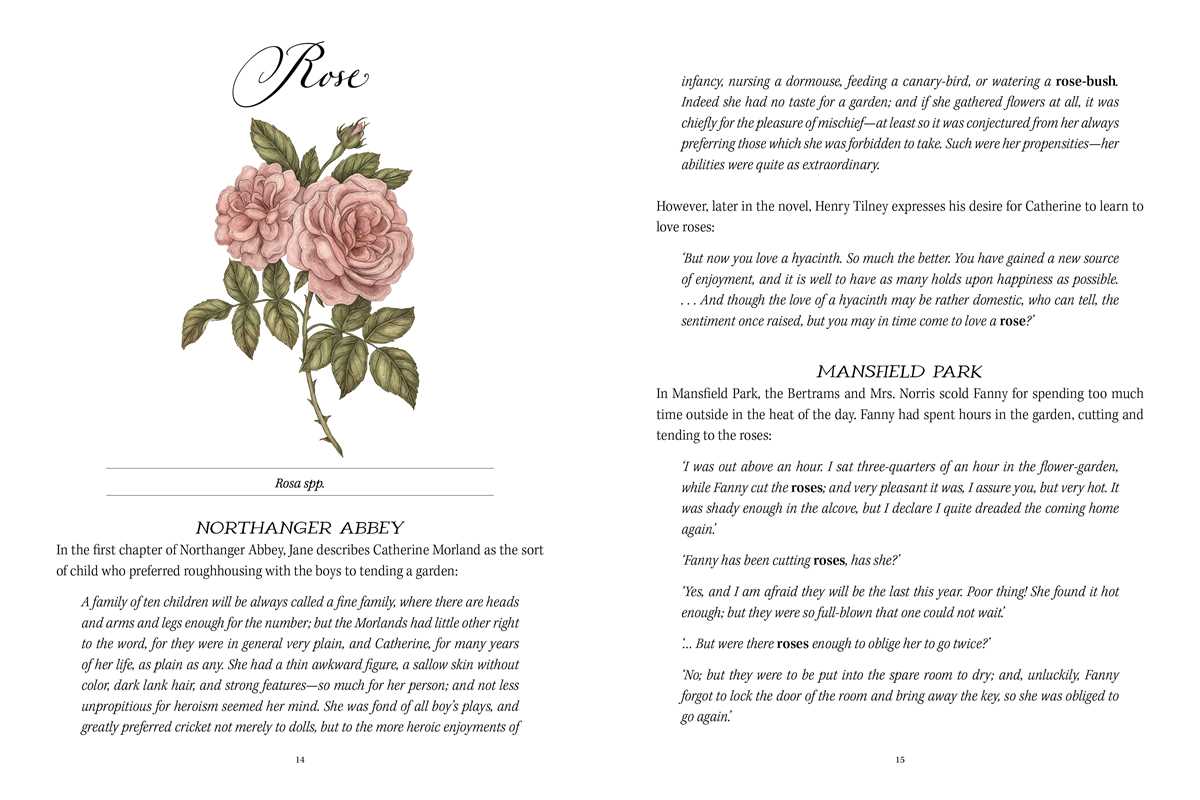 Jane Austen&