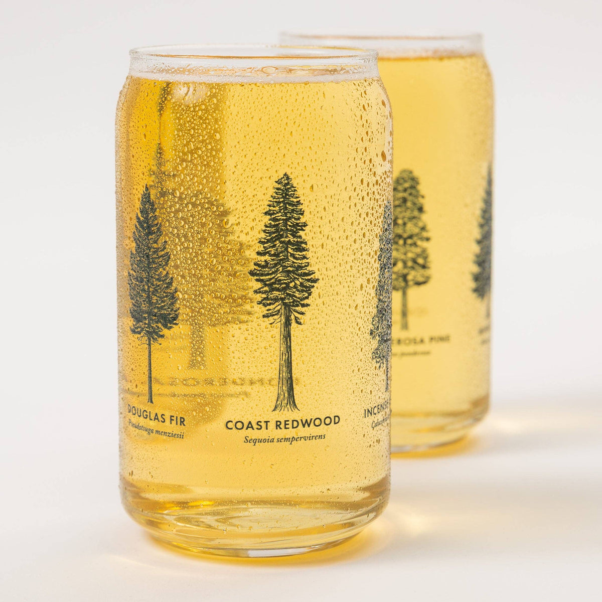 California Forests Beer Can Glass