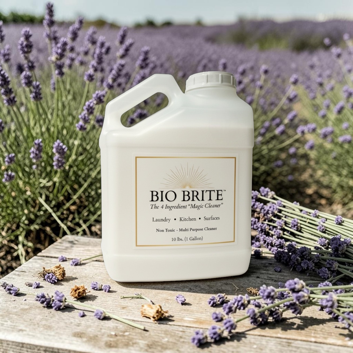 🪻Lavender