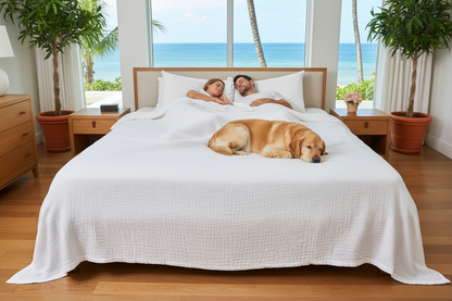 365 Blanket — Burning Love Sale