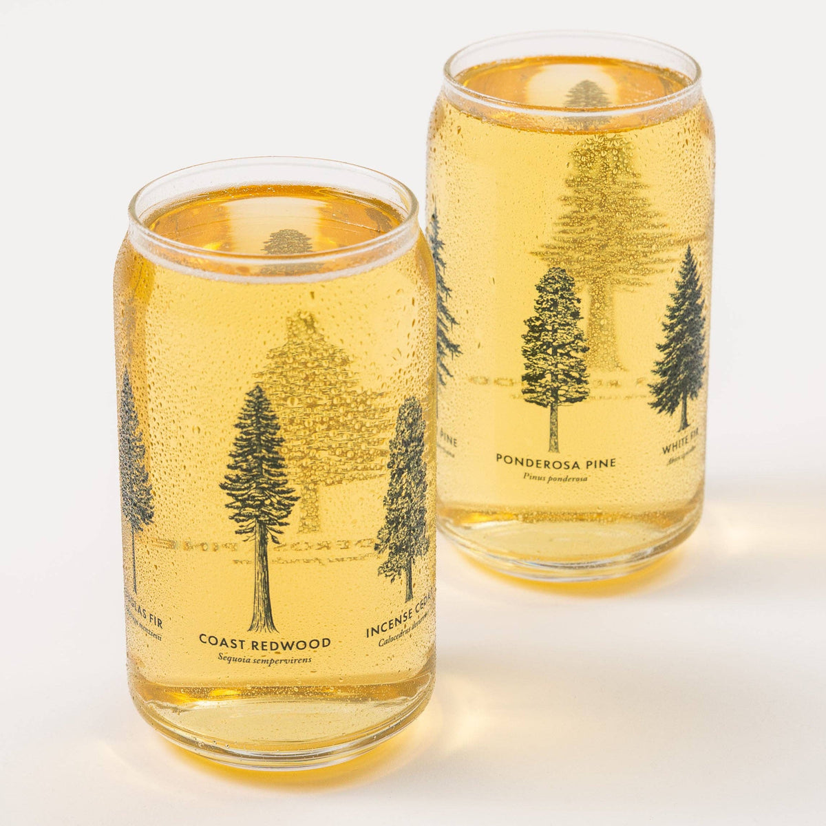 California Forests Beer Can Glass