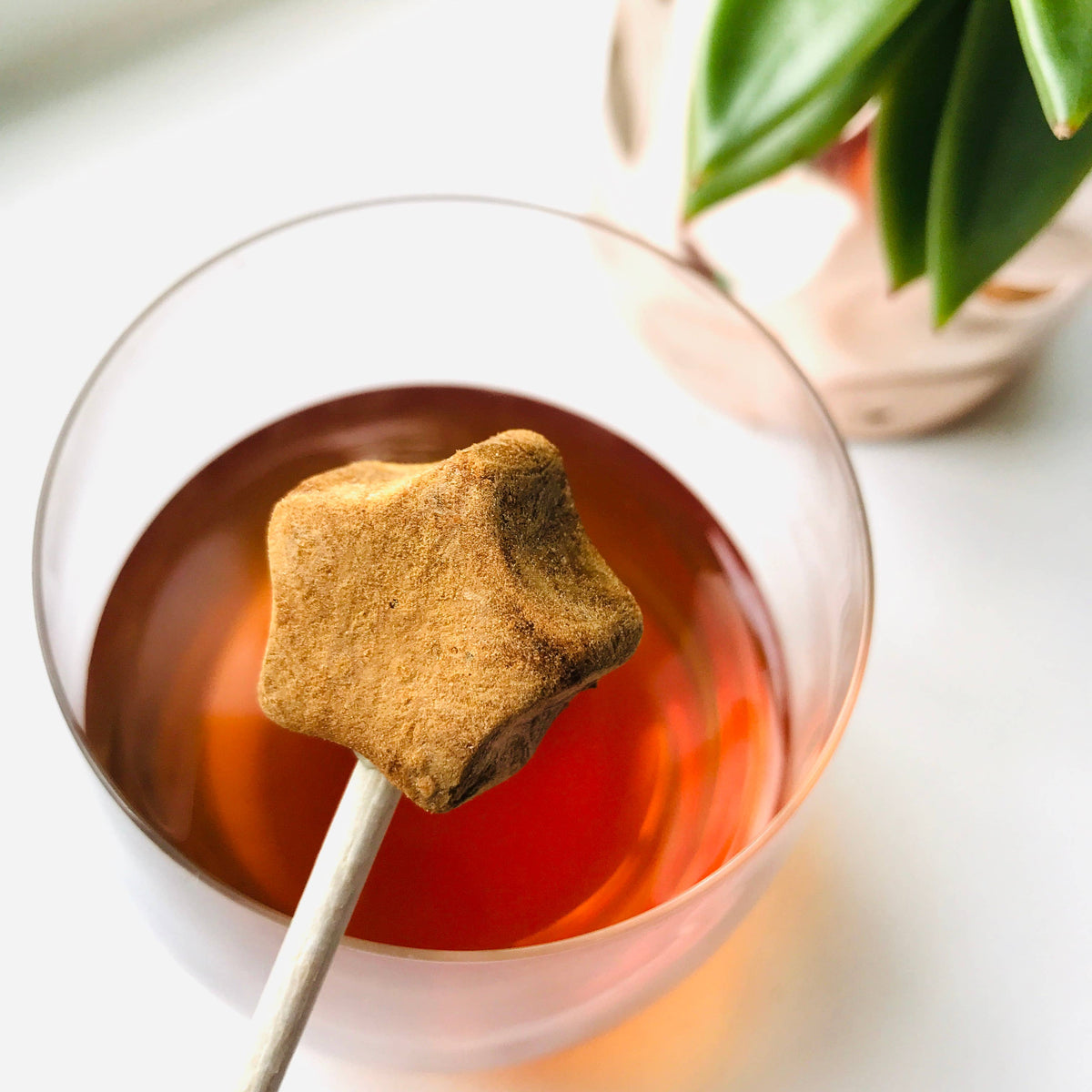 Peach Gourmet TEA on-a-stick!