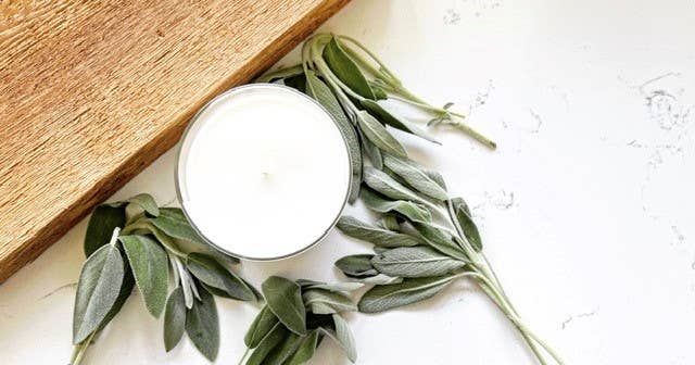 Sage + Cedar Soy Wax Candle | Citrus | Musk | Amber - 1 Wick