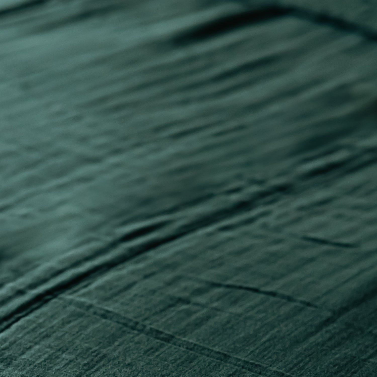 Classic Christmas Euro 365 Muslin Cotton Pillow Shams (Set of 2)