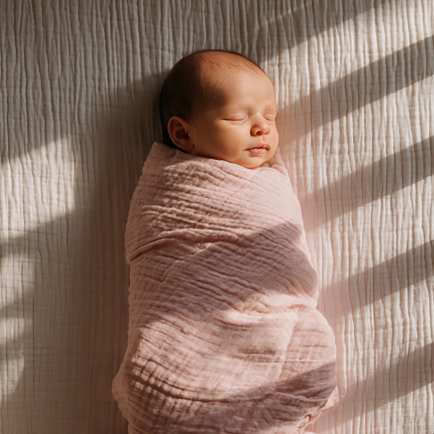 Muslin Cotton Swaddle Blanket in Signature Colors